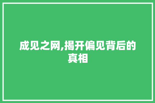 成见之网,揭开偏见背后的真相