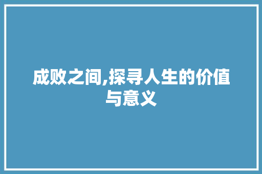 成败之间,探寻人生的价值与意义