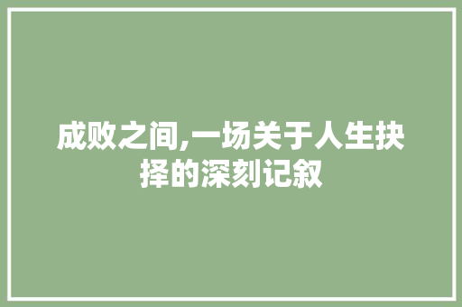 成败之间,一场关于人生抉择的深刻记叙