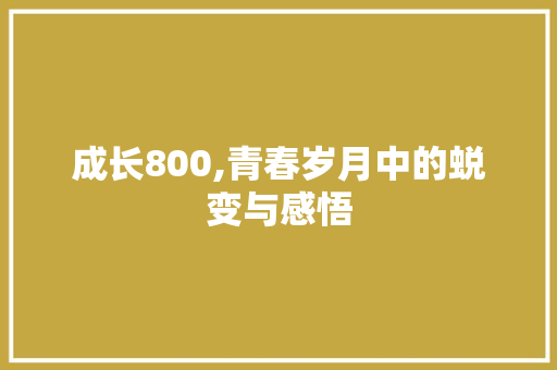 成长800,青春岁月中的蜕变与感悟