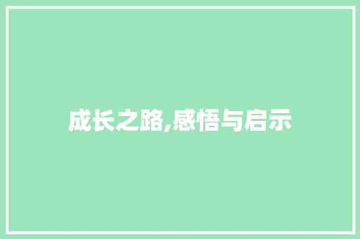 成长之路,感悟与启示