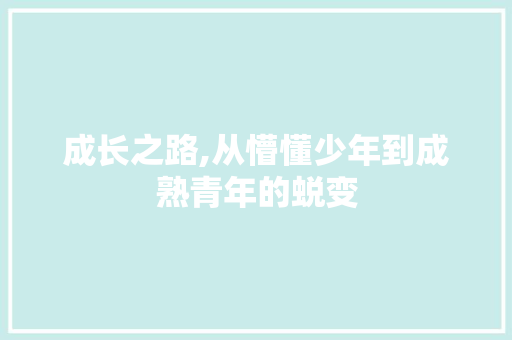 成长之路,从懵懂少年到成熟青年的蜕变