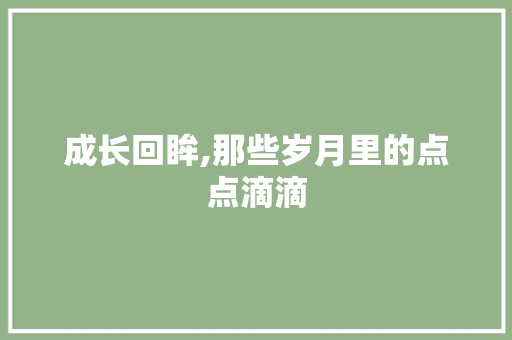 成长回眸,那些岁月里的点点滴滴