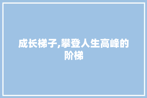 成长梯子,攀登人生高峰的阶梯