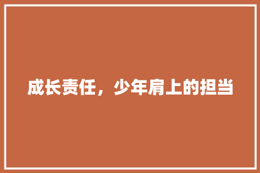 成长责任，少年肩上的担当