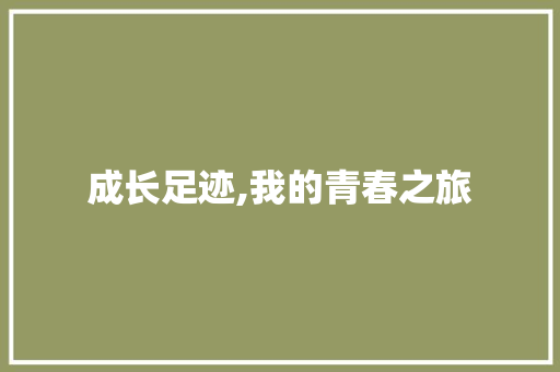 成长足迹,我的青春之旅