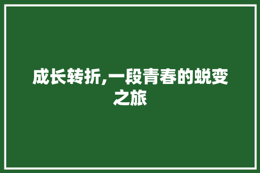 成长转折,一段青春的蜕变之旅