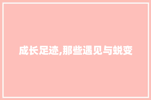 成长足迹,那些遇见与蜕变