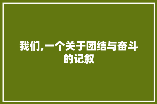 我们,一个关于团结与奋斗的记叙