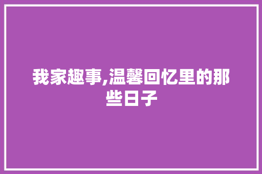 我家趣事,温馨回忆里的那些日子