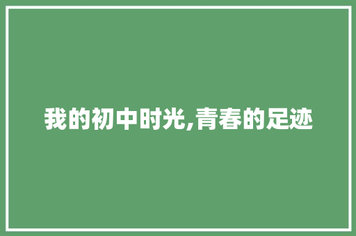 我的初中时光,青春的足迹