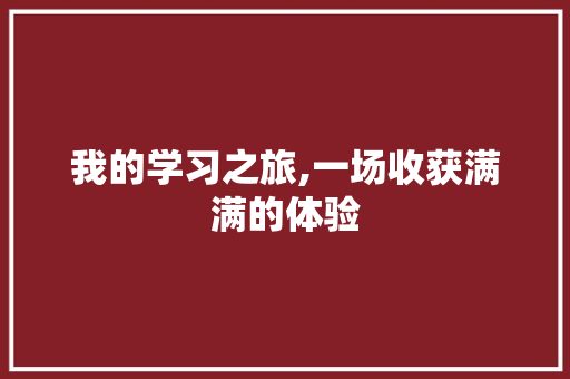 我的学习之旅,一场收获满满的体验