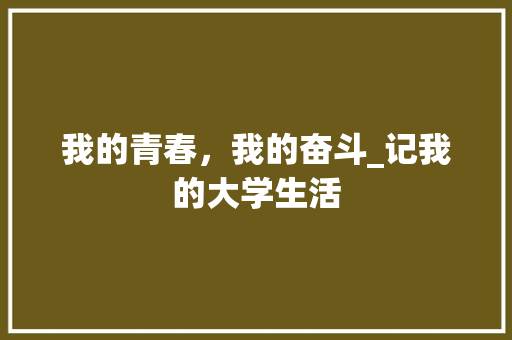 我的青春，我的奋斗_记我的大学生活