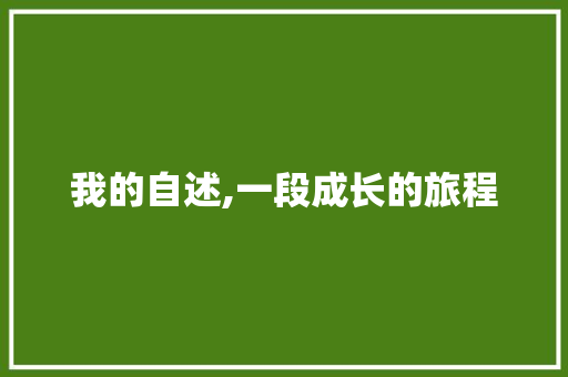 我的自述,一段成长的旅程