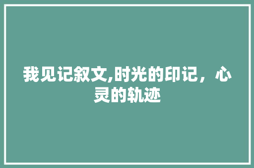 我见记叙文,时光的印记，心灵的轨迹