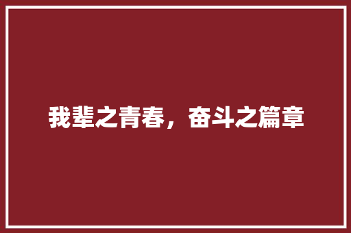 我辈之青春，奋斗之篇章