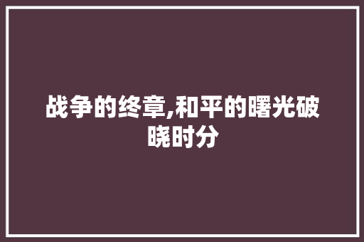 战争的终章,和平的曙光破晓时分