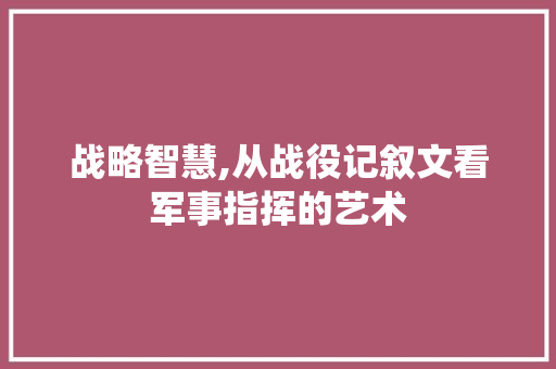 战略智慧,从战役记叙文看军事指挥的艺术