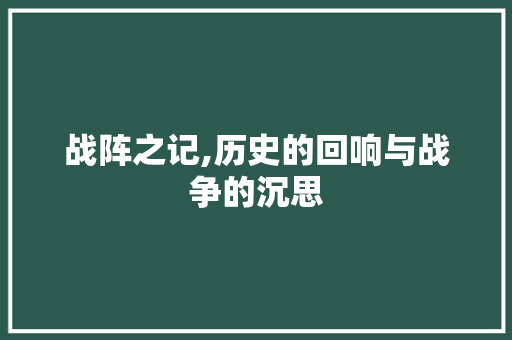 战阵之记,历史的回响与战争的沉思