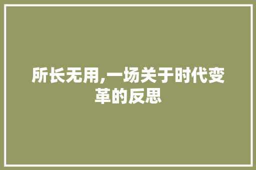 所长无用,一场关于时代变革的反思