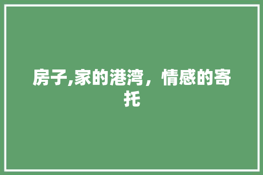 房子,家的港湾，情感的寄托