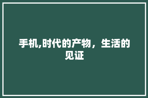 手机,时代的产物，生活的见证