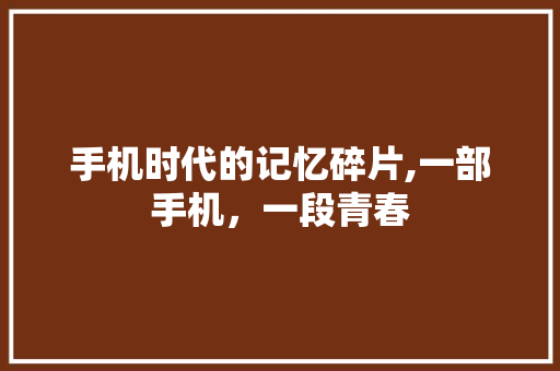 手机时代的记忆碎片,一部手机，一段青春