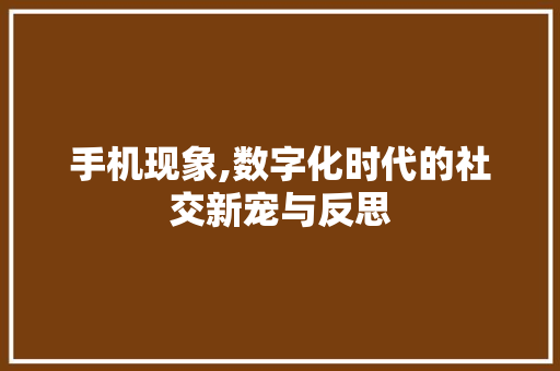 手机现象,数字化时代的社交新宠与反思