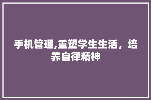 手机管理,重塑学生生活，培养自律精神