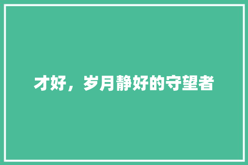 才好，岁月静好的守望者