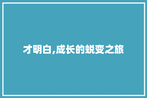 才明白,成长的蜕变之旅