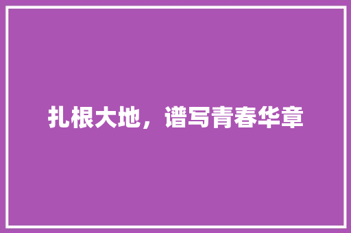 扎根大地，谱写青春华章