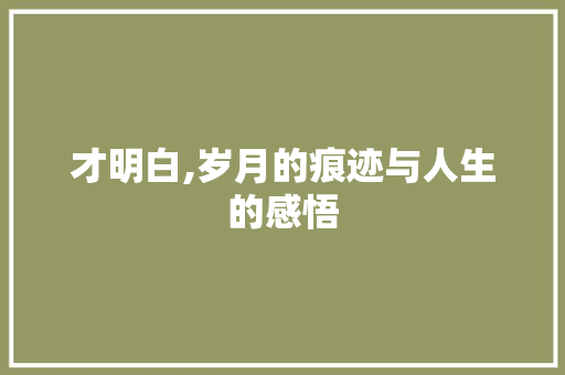 才明白,岁月的痕迹与人生的感悟