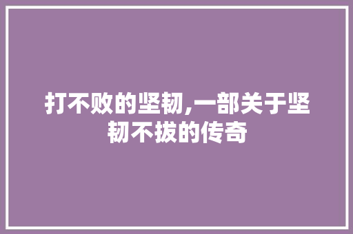 打不败的坚韧,一部关于坚韧不拔的传奇