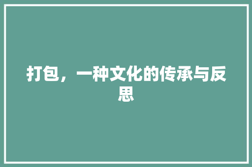 打包，一种文化的传承与反思