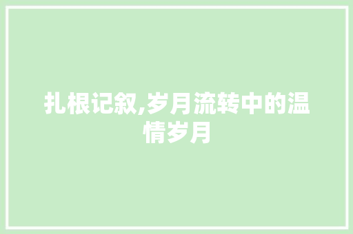 扎根记叙,岁月流转中的温情岁月