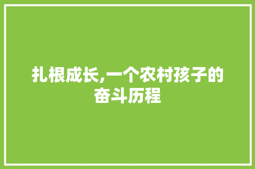 扎根成长,一个农村孩子的奋斗历程