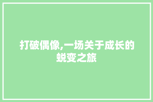 打破偶像,一场关于成长的蜕变之旅