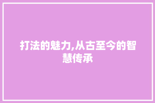 打法的魅力,从古至今的智慧传承