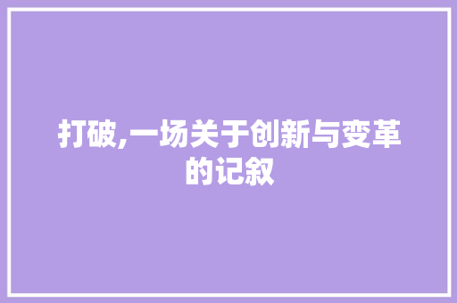 打破,一场关于创新与变革的记叙