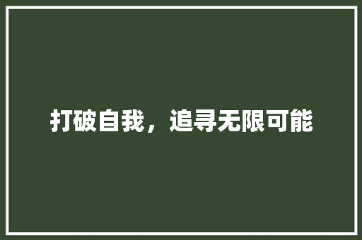 打破自我，追寻无限可能