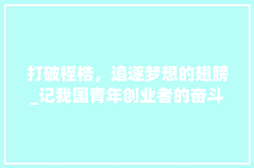 打破桎梏，追逐梦想的翅膀_记我国青年创业者的奋斗历程