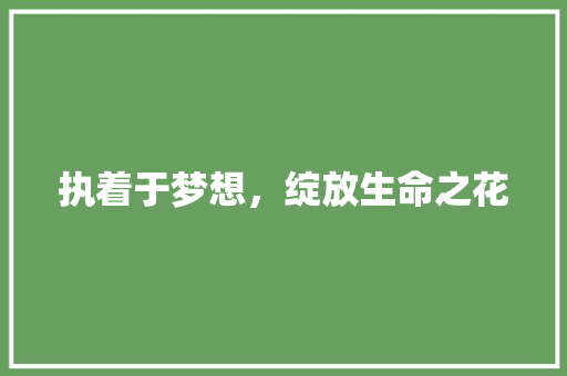 执着于梦想，绽放生命之花