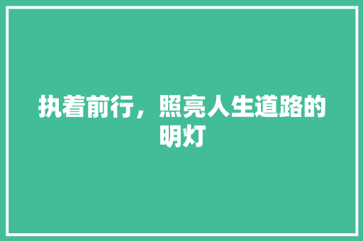 执着前行，照亮人生道路的明灯