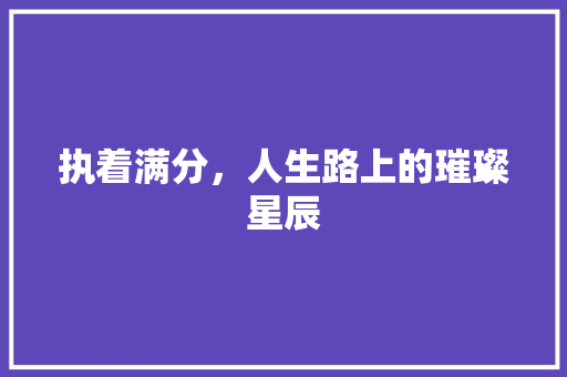 执着满分，人生路上的璀璨星辰