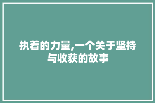 执着的力量,一个关于坚持与收获的故事