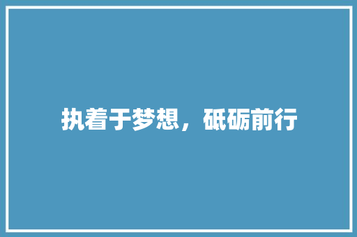 执着于梦想，砥砺前行