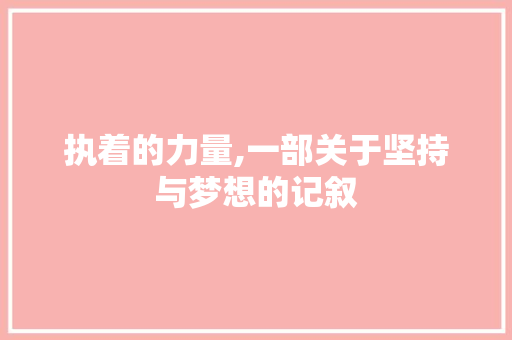 执着的力量,一部关于坚持与梦想的记叙