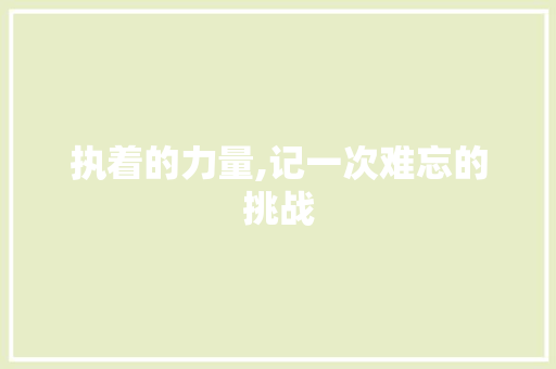 执着的力量,记一次难忘的挑战