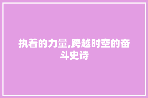 执着的力量,跨越时空的奋斗史诗